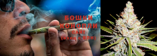прущая мука Новодвинск