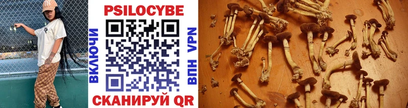 Галлюциногенные грибы Psilocybe  где продают наркотики  MEGA как войти  Ржев 
