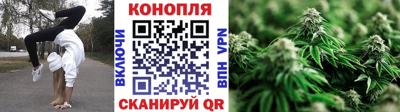 Шишки марихуана семена  Ржев 